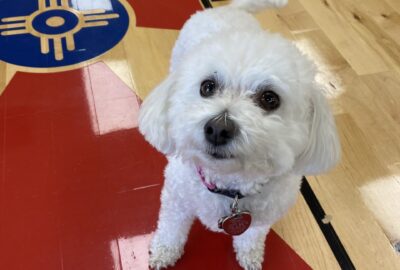 Rosie