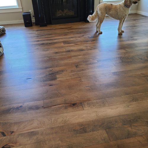 refinish hardwood floors